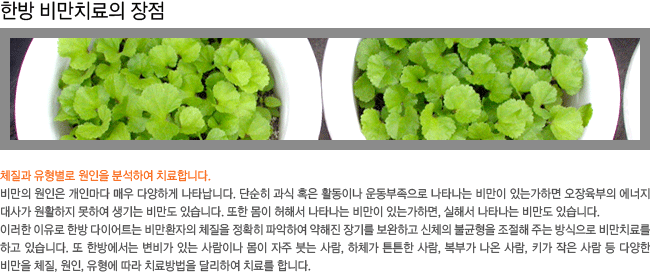 (1)ü���� �������� ������ �м��Ͽ� ġ���մϴ�.