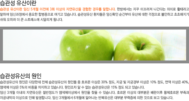 ������ �����̶�? ������ ������ ����